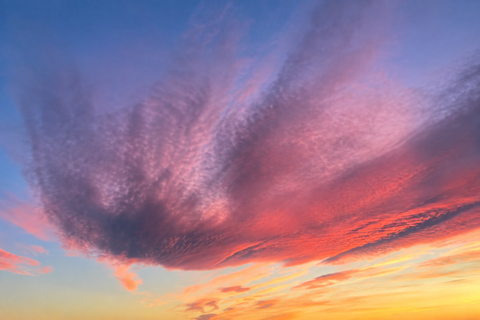 Ciel de septembre – astrologie chinoise et énergie du Coq de Feu 2026