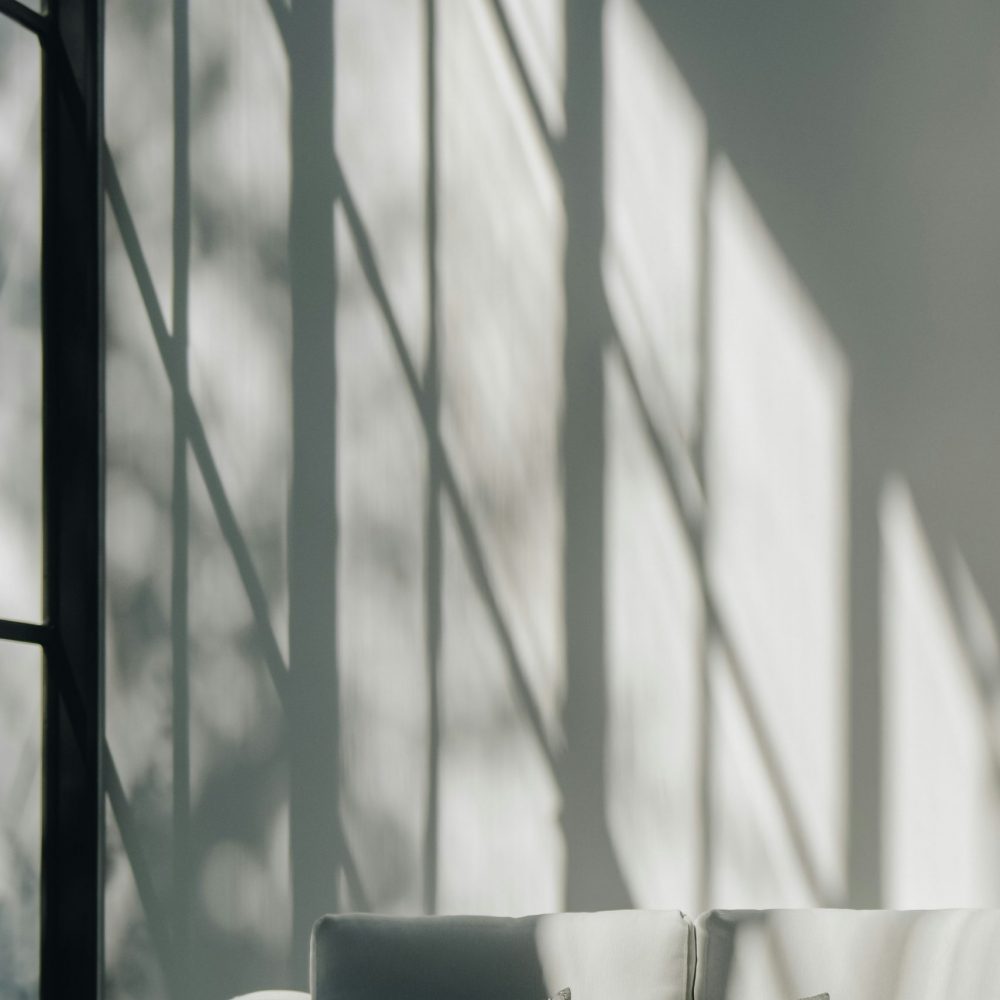 suhyeon-choi-ehxwis6Ltxg-unsplash suhyeon-choi-ehxwis6Ltxg-unsplash